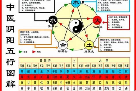 鼠五行|属鼠五行属什么命 属鼠人的五行缺什么